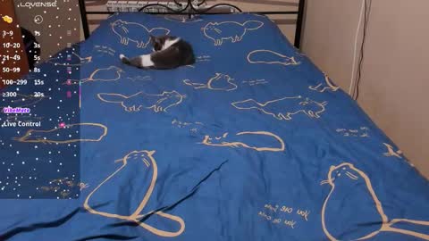 Eva online show from 8, 2, 2026