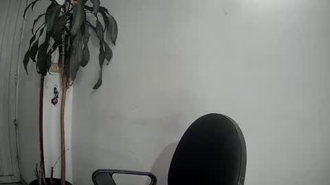 evacollins12 online show from 9, 12, 2024