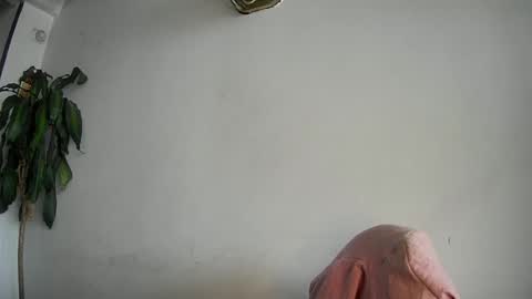 evacollins12 online show from 15, 2, 2025