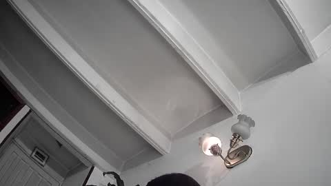 evacollins12 online show from 25, 2, 2025