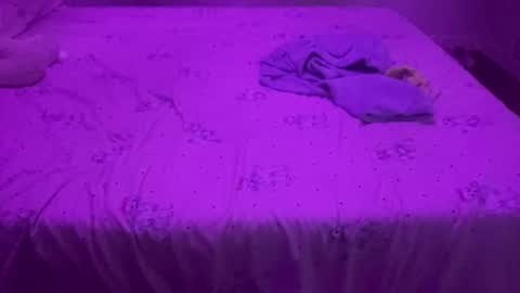 evandroribeiro online show from 8, 4, 2026