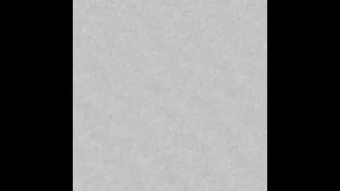 Eva online show from 29, 1, 2025