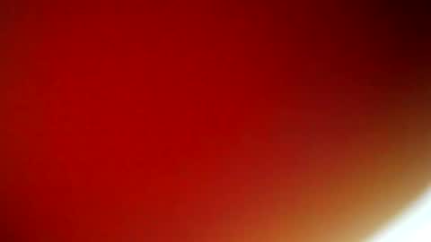 evangely online show from 9, 2, 2025