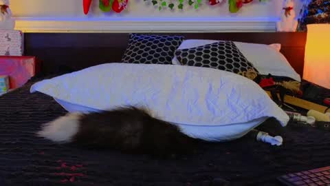 Eva online show from 8, 12, 2024