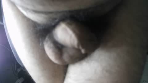 eveline_figeroa3 online show from 8, 8, 2026