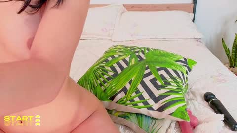 Snapshot of evelyn_chelle chatting on 24, 12, 2024 Im Eve or Chelle Next Stream 191224 online show from 24, 12, 2024