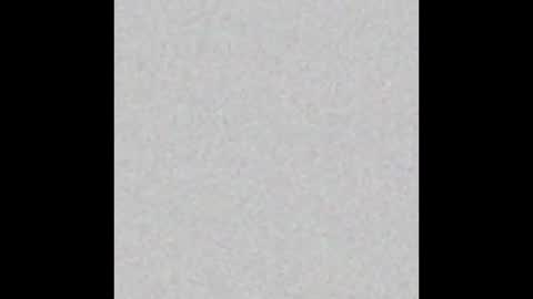 Kevin online show from 26, 10, 2025