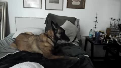 EV Parrish online show from 2, 2, 2025