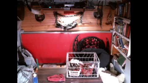 Snapshot of evpierce chatting on 30, 3, 2026 EvPierce online show from 30, 3, 2026