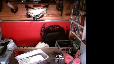 Snapshot of evpierce chatting on 11, 4, 2026 EvPierce online show from 11, 4, 2026