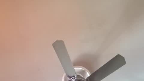 Snapshot of exoticlexi chatting on 6, 4, 2026 Exoticlexxii online show from 6, 4, 2026