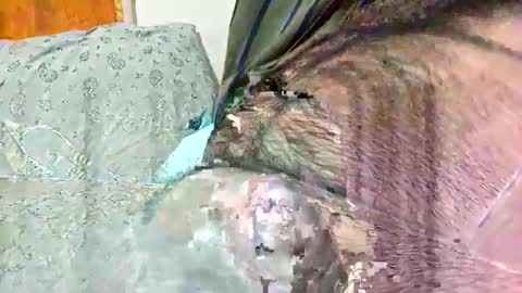 ezzz_au20 online show from 2, 11, 2025