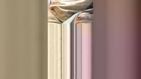 ezzz_au20 online show from 12, 1, 2026