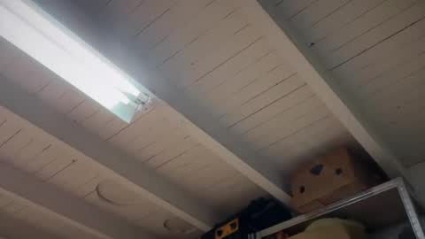 Snapshot of fabius1995 chatting on 22, 3, 2026 fabius1995 online show from 22, 3, 2026