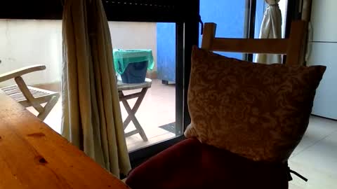 Snapshot of fabro45 chatting on 13, 3, 2026 Fabro online show from 13, 3, 2026