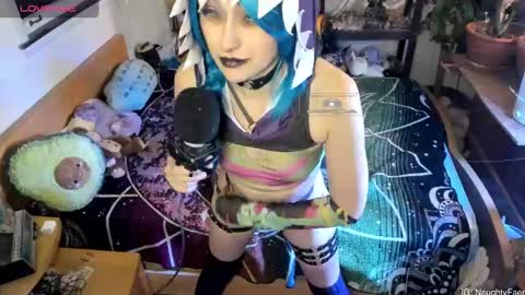 faewildflower online show from 7, 2, 2026