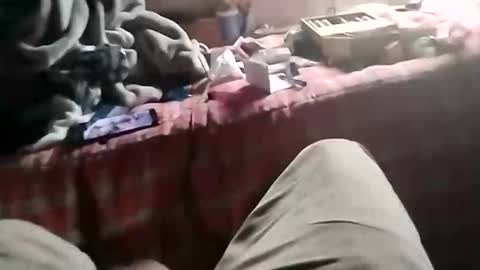 fallguyb1875150 online show from 19, 10, 2025