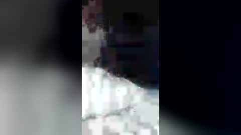faloshows online show from 14, 6, 2026