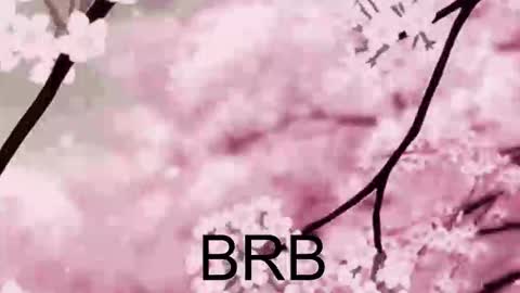 Anna Scovich online show from 10, 10, 2025