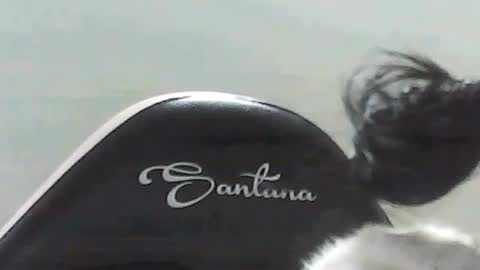 Snapshot of farianna_hot chatting on 2, 5, 2026 farianna_hot online show from 2, 5, 2026