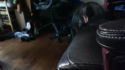 Shawn online show from 15, 9, 2025