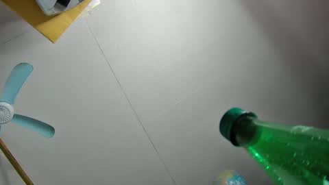 Snapshot of fatfreddythecat chatting on 19, 2, 2025 Fred. online show from 19, 2, 2025