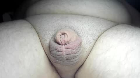 Snapshot of fatmanscock chatting on 8, 12, 2024 Fatmanscock online show from 8, 12, 2024