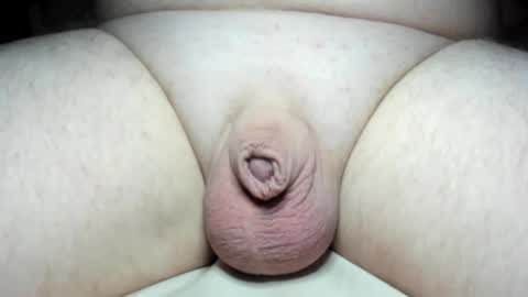 Snapshot of fatmanscock chatting on 25, 12, 2024 Fatmanscock online show from 25, 12, 2024