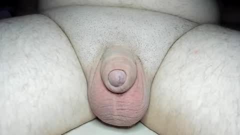 Snapshot of fatmanscock chatting on 28, 1, 2025 Fatmanscock online show from 28, 1, 2025