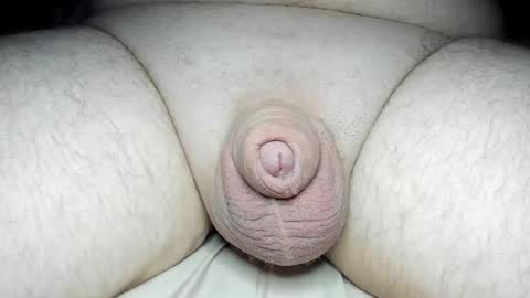 Snapshot of fatmanscock chatting on 13, 2, 2025 Fatmanscock online show from 13, 2, 2025
