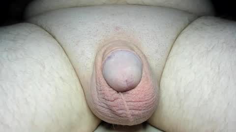 Snapshot of fatmanscock chatting on 19, 2, 2025 Fatmanscock online show from 19, 2, 2025