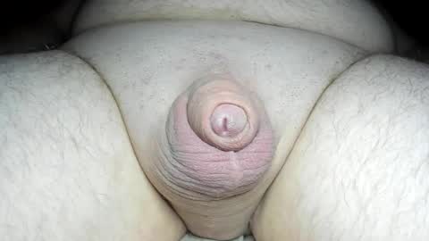 Snapshot of fatmanscock chatting on 20, 2, 2025 Fatmanscock online show from 20, 2, 2025