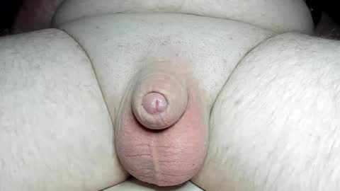 Snapshot of fatmanscock chatting on 5, 3, 2025 Fatmanscock online show from 5, 3, 2025