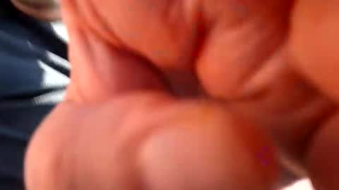 fatso21 online show from 4, 3, 2025