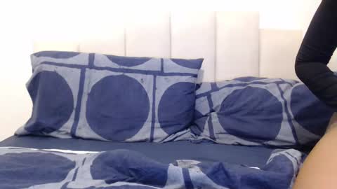 Snapshot of felinechic chatting on 25, 12, 2024 FelineChic online show from 25, 12, 2024