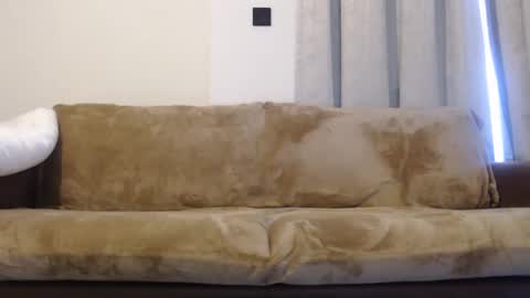 Snapshot of felinechic chatting on 10, 1, 2025 FelineChic online show from 10, 1, 2025