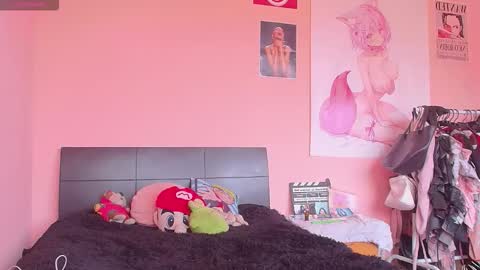 FELINE online show from 19, 12, 2025