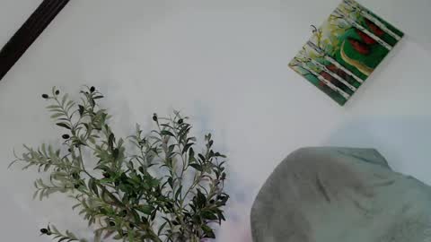 femboy_veronica online show from 3, 5, 2026