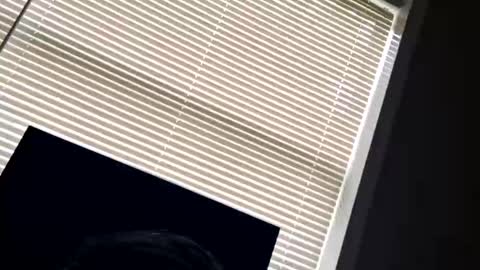 Snapshot of fer28639 chatting on 24, 9, 2025 fer28639 online show from 24, 9, 2025