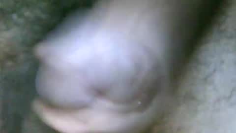 Snapshot of fer_2197 chatting on 31, 10, 2025 fer_2197 online show from 31, 10, 2025