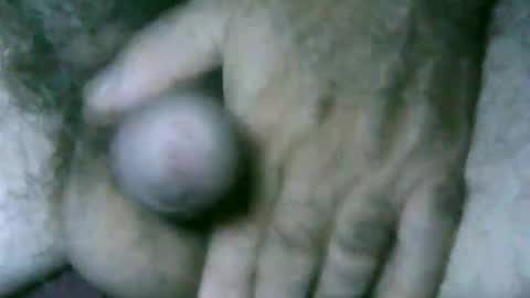 fer_2197 online show from 3, 4, 2026