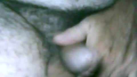 fer_2197 online show from 4, 4, 2026