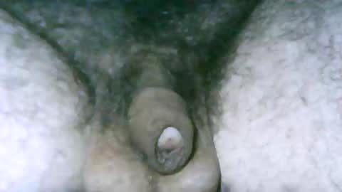 fer_2197 online show from 16, 4, 2026