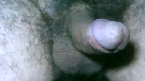 fer_2197 online show from 29, 5, 2026