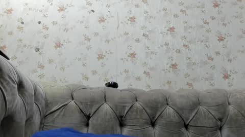 Fernanda online show from 12, 1, 2025