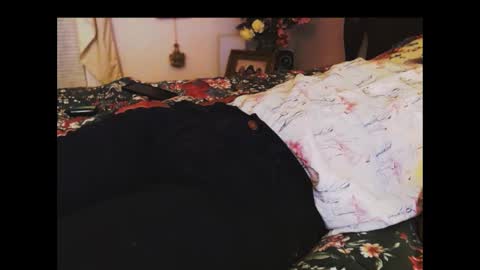 ferra_testarossa online show from 24, 11, 2025