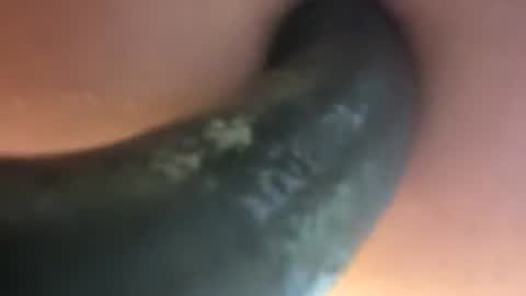Fill My Little Hole online show from 2, 7, 2026