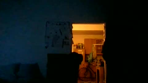 fine_nice online show from 28, 6, 2026