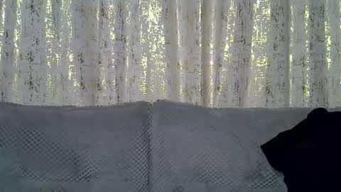 fine_queen12 online show from 24, 3, 2026