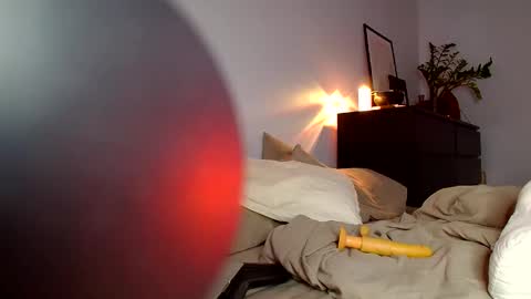 Muse online show from 20, 2, 2026